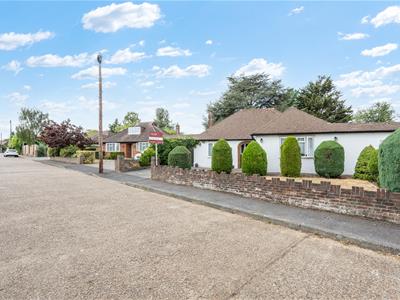 Picture 20